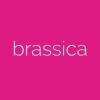 https://www.mncjobz.com/company/brassica