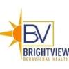https://www.mncjobz.com/company/brightview-behavioral-health-services