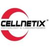 https://www.mncjobz.com/company/cellnetix-pathology-laboratories
