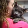 https://www.mncjobz.com/company/east-hampton-veterinary-group
