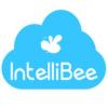 https://www.mncjobz.com/company/intellibee-inc