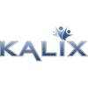https://www.mncjobz.com/company/kalix