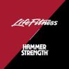 https://www.mncjobz.com/company/life-fitness-hammer-strength