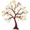 https://www.mncjobz.com/company/live-cardinal