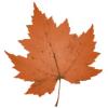 https://www.mncjobz.com/company/maple-lake-academy
