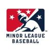 https://www.mncjobz.com/company/minor-league-baseball