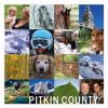 https://www.mncjobz.com/company/pitkin-county
