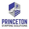 https://www.mncjobz.com/company/princeton-staffing-solutions