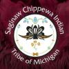 https://www.mncjobz.com/company/saginaw-chippewa-indian-tribe-of-michigan