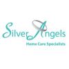 https://www.mncjobz.com/company/silver-angels