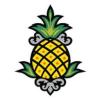 https://www.mncjobz.com/company/staypineapple