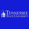 https://www.mncjobz.com/company/tennessee-state-university