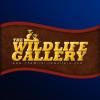 https://www.mncjobz.com/company/the-wildlife-gallery