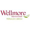 https://www.mncjobz.com/company/wellmore-behavioral-health