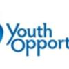 https://www.mncjobz.com/company/youth-opportunity-investments-llc