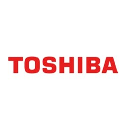 https://www.mncjobz.com/company/toshiba-global-commerce-solutions