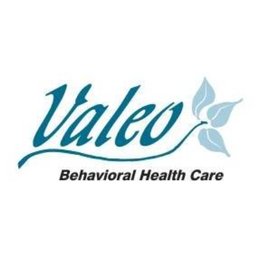 https://www.mncjobz.com/company/valeo-behavioral-health-care