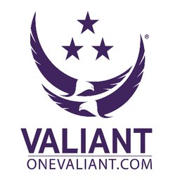 https://www.mncjobz.com/company/valiant-integrated-services