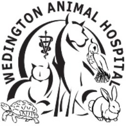 https://www.mncjobz.com/company/wedington-animal-hospital