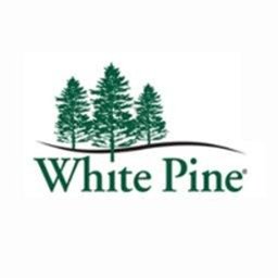 https://www.mncjobz.com/company/white-pine-comforts-of-home-gracewood-senior-living