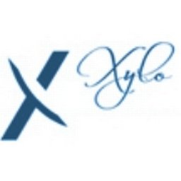 https://www.mncjobz.com/company/xylo-consulting