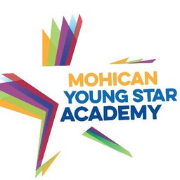 https://www.mncjobz.com/company/young-star-academy